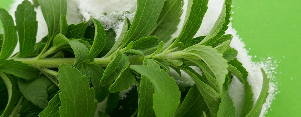 Wat is stevia en waar zit het in?